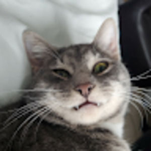 Meet your Posher, Jade